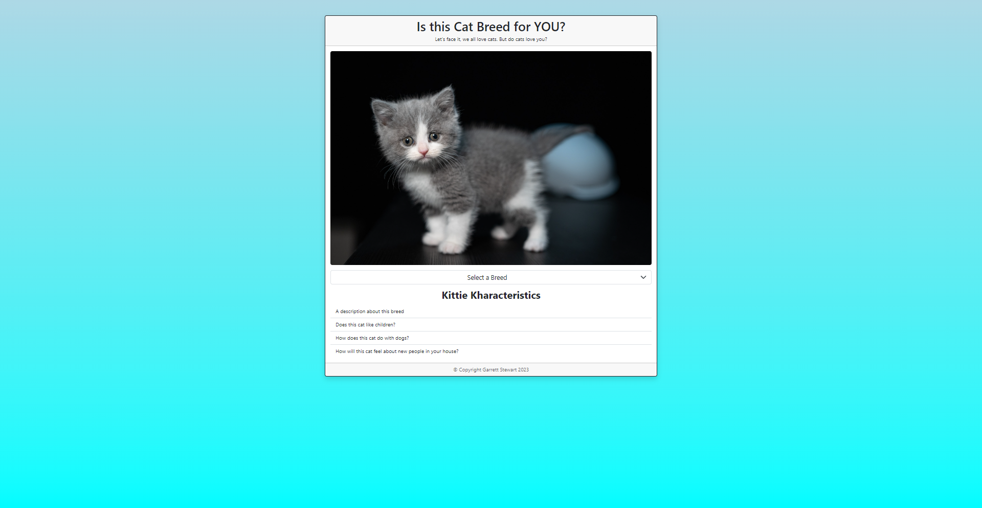 Screenshot of the Cat Application